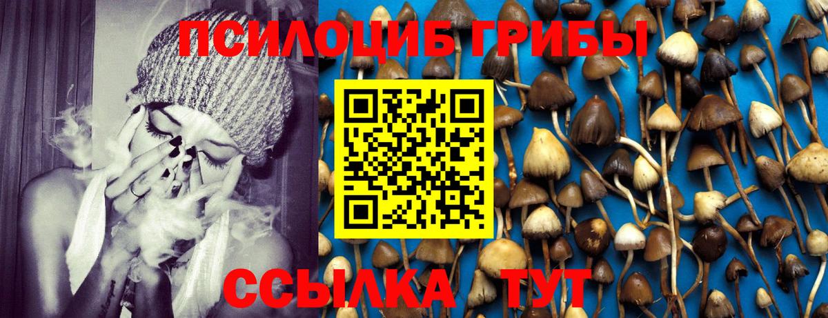Псилоцибиновые грибы мицелий Сунжа