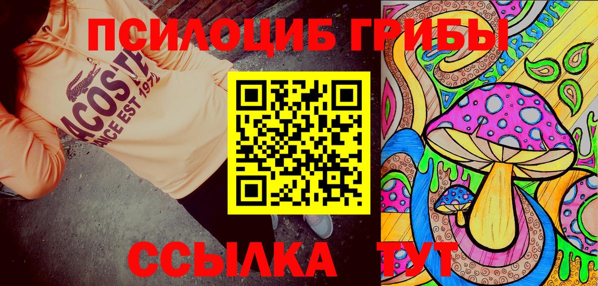 Псилоцибиновые грибы Magic Shrooms  как найти закладки  Сунжа  Вход с VPN 