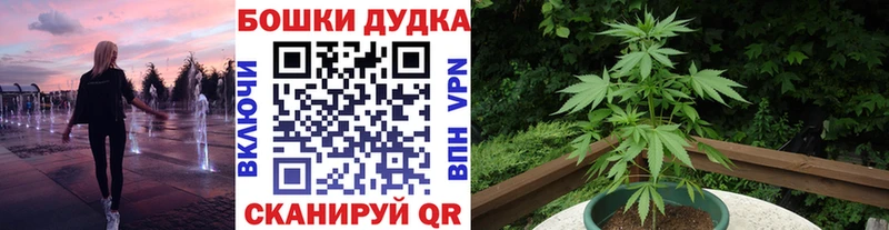 Марихуана THC 21% Сунжа