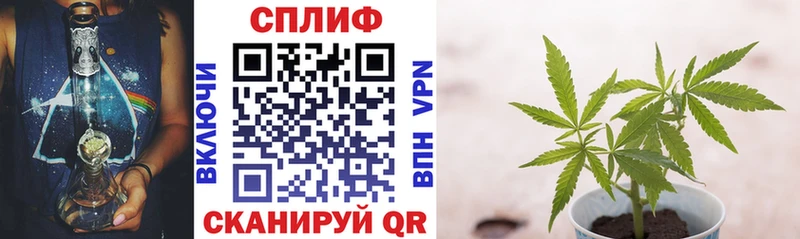 Шишки марихуана индика  darknet телеграм  Сунжа 